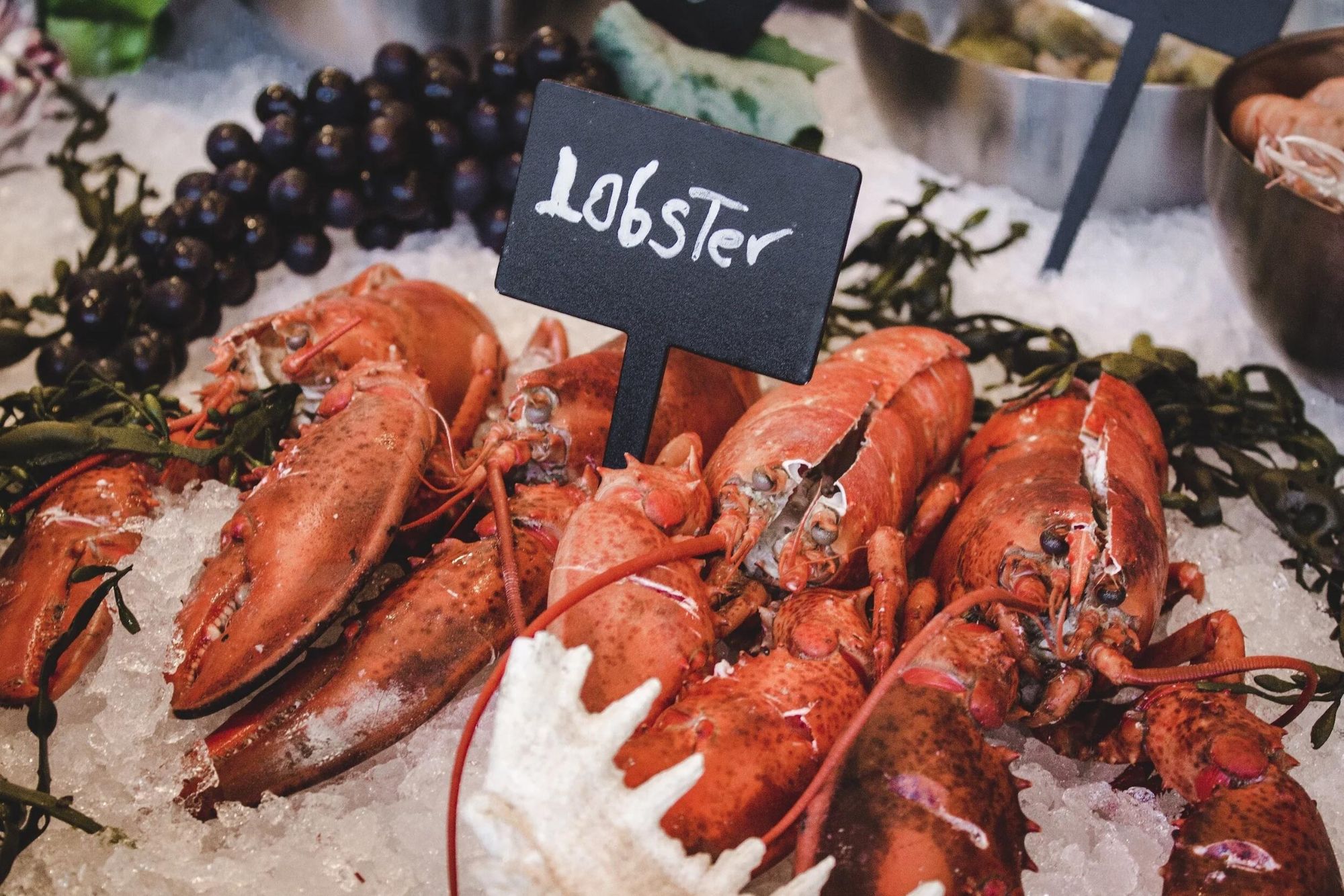 Clovelly Lobster and Crab Feast