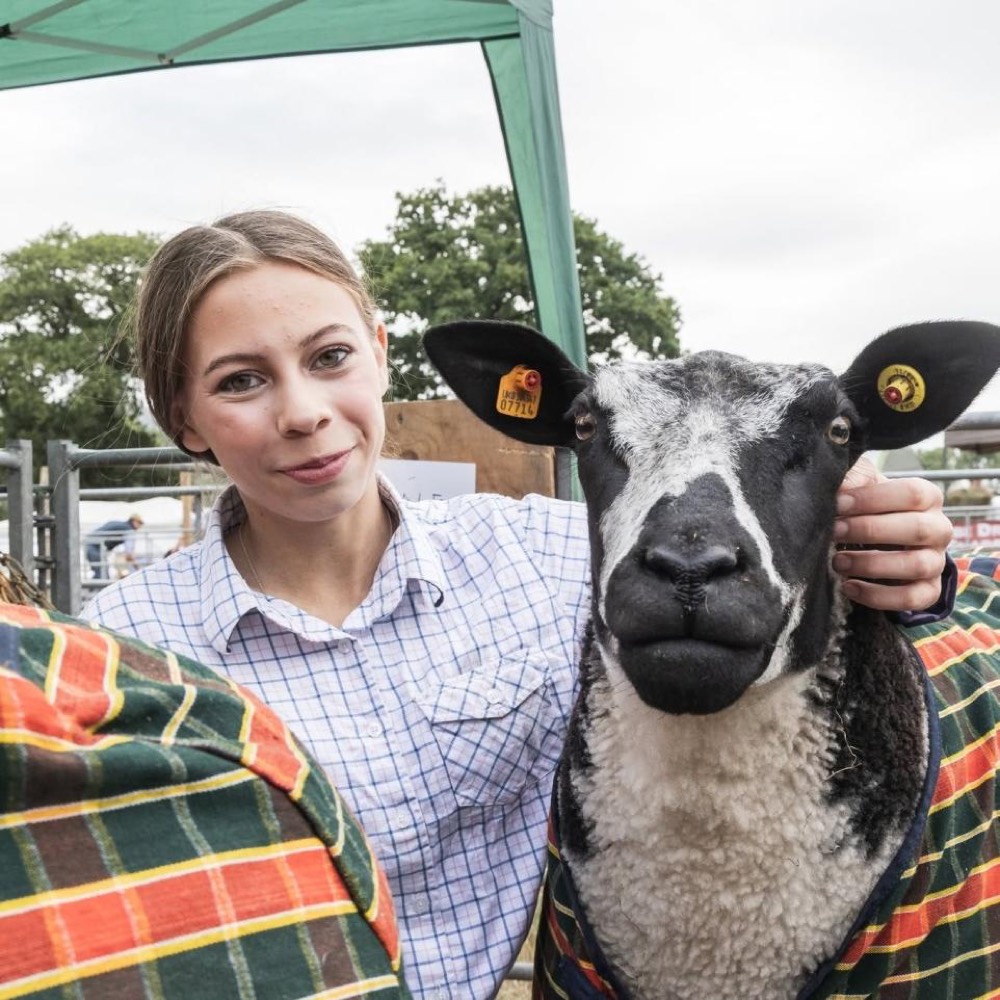 Honiton Show