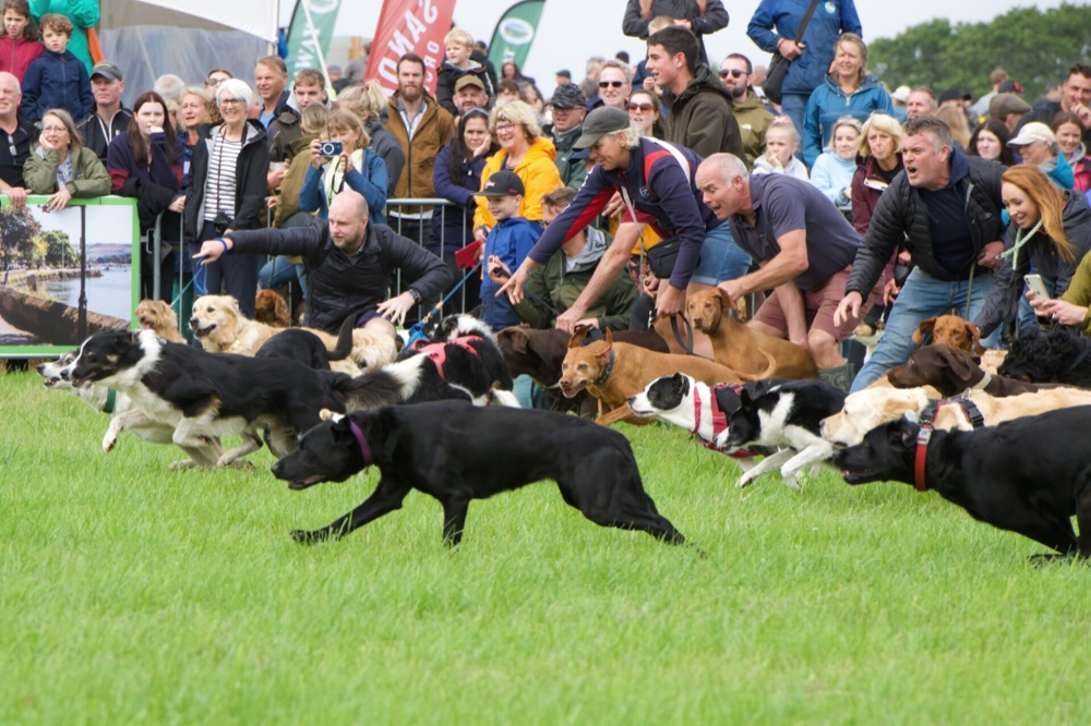 Totnes and District Show